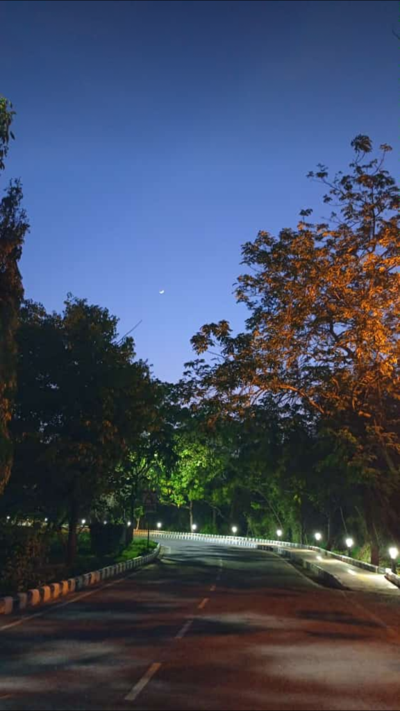 JNU Other Paper
